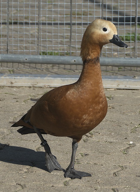 他们需要重